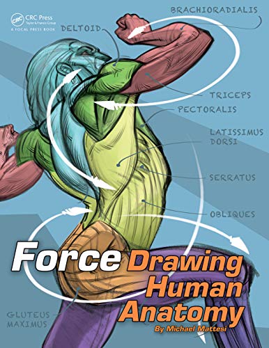 Beispielbild fr FORCE: Drawing Human Anatomy (Force Drawing Series) zum Verkauf von Phatpocket Limited