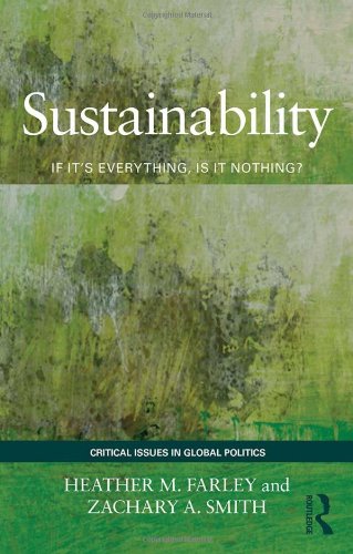 9780415783538: Sustainability: If It's Everything, Is It Nothing?