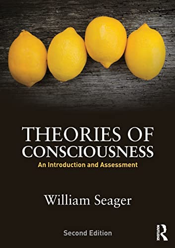 Beispielbild fr Theories of Consciousness: An Introduction and Assessment zum Verkauf von Blackwell's