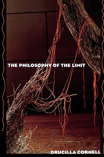 Imagen de archivo de The Philosophy of the Limit a la venta por Blackwell's