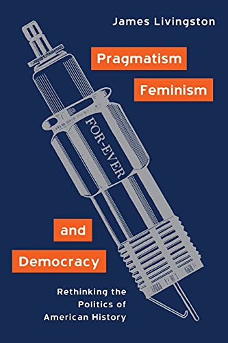 Imagen de archivo de Pragmatism, Feminism, and Democracy: Rethinking the Politics of American History a la venta por HPB-Red