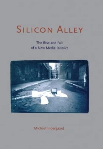 Imagen de archivo de Silicon Alley: The Rise and Fall of a New Media District (Cultural Spaces) a la venta por Chiron Media