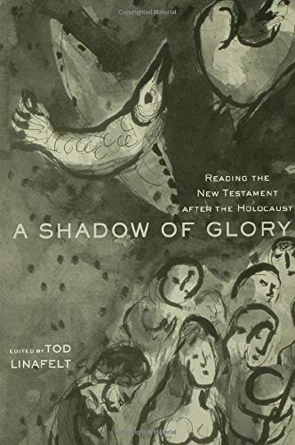 Stock image for A Shadow of Glory: Reading the New Testament After the Holocaust for sale by Revaluation Books