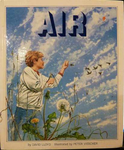 Beispielbild fr Air zum Verkauf von Ammareal