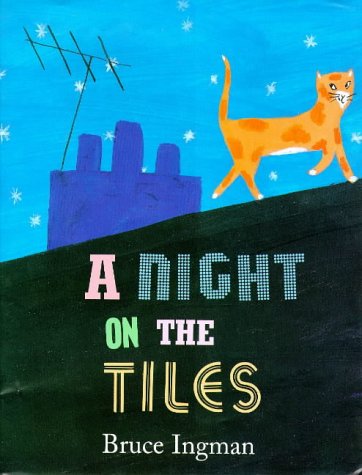 Imagen de archivo de A Night on the Tiles a la venta por WorldofBooks