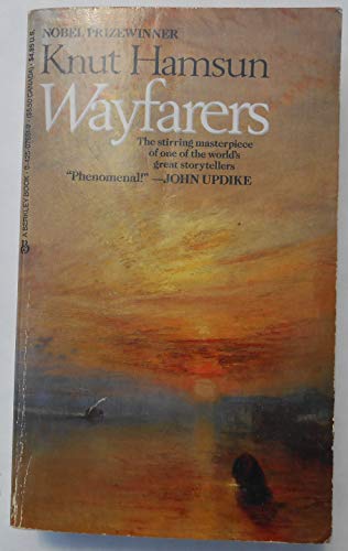 Beispielbild fr Wayfarers zum Verkauf von -OnTimeBooks-