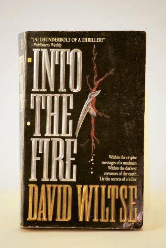 Imagen de archivo de Into the Fire a la venta por Wonder Book