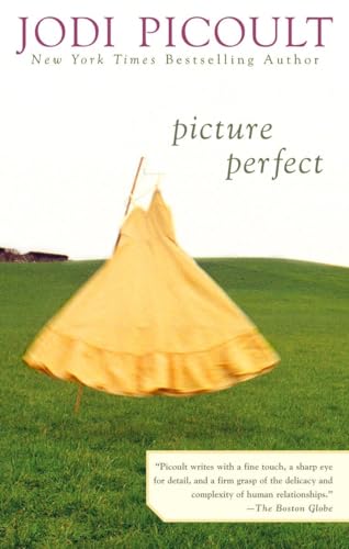 Beispielbild fr Picture Perfect zum Verkauf von SecondSale