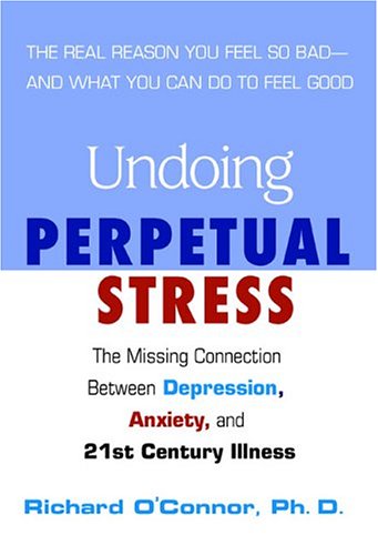 Stock image for Undoing Perpetual Stress: The Missing Connection Between Depression, Anxiety and 21stCentury Illness for sale by SecondSale