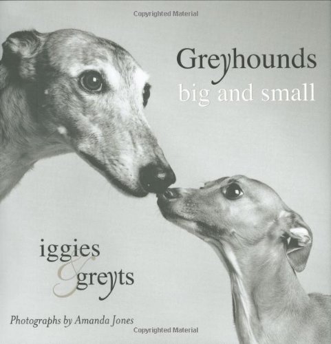 Imagen de archivo de Greyhounds Big and Small: Iggies and Greyts a la venta por ThriftBooks-Dallas