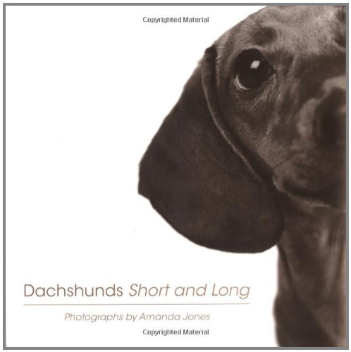 9780425207093: Dachshunds Short And Long
