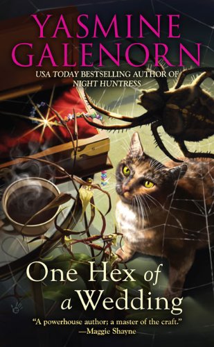 9780425211175: One Hex of a Wedding (Chintz 'n China Series)