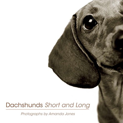 Imagen de archivo de Dachshunds Short and Long a la venta por Better World Books