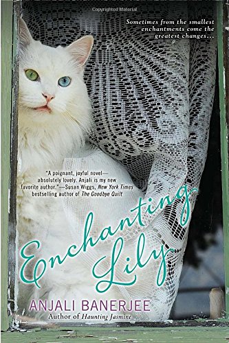 Stock image for Enchanting Lily for sale by Better World Books