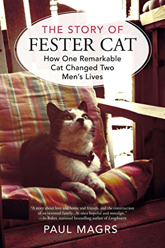 Stock image for The Story of Fester Cat for sale by ThriftBooks-Atlanta
