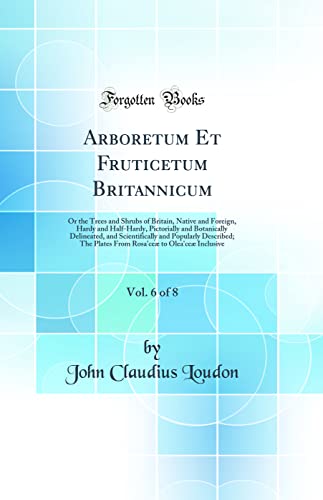 Stock image for Arboretum Et Fruticetum Britannicum, Vol. 6 of 8: Or the Trees and Shrubs of Britain, Native and Foreign, Hardy and Half-Hardy, Pictorially and Botanically Delineated, and Scientifically and Popularly Described; The Plates From Rosa'ce? to Olea'ce? Inclus for sale by PBShop.store US