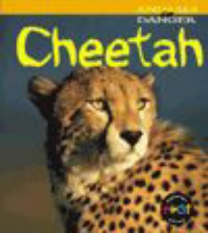 Cheetah (9780431001586) by Rod Theodorou