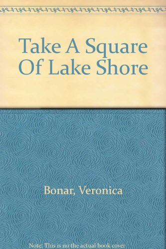 Beispielbild fr Take a Square of Lake Shore (Take a Square Series) zum Verkauf von Mispah books