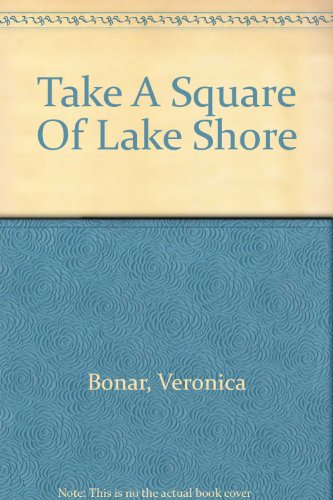 Imagen de archivo de Take a Square of Lake Shore (Take a Square Series) a la venta por Mispah books
