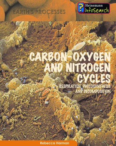 Stock image for Carbon-Oxygen and Nitrogen Cycles (Heinemann Infosearch: Earth*s Processes) (Heinemann Infosearch: Earth*s Processes) for sale by dsmbooks