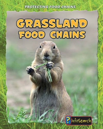 Grassland Food Chains (Protecting Food Chains) (9780431013800) by Buffy Silverman