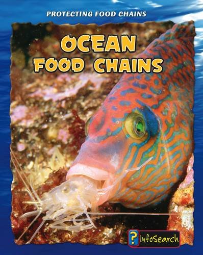 Stock image for Ocean Food Chains for sale by MusicMagpie