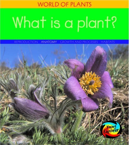 What Is a Plant? (Young Explorer: World of Plants) (Young Explorer: World of Plants) (9780431018034) by Louise Spilsbury