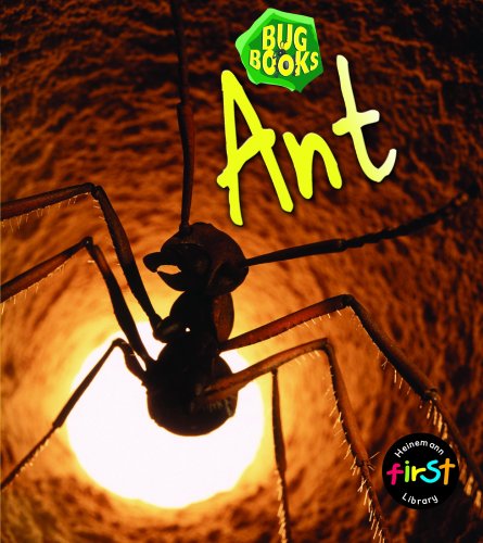 Stock image for Ant (Bug Books) (Bug Books) for sale by Phatpocket Limited