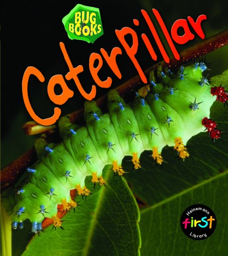 9780431018386: Caterpillar (Bug Books) (Bug Books)