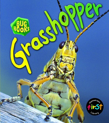 Beispielbild fr Grasshopper (Bug Books) zum Verkauf von WorldofBooks