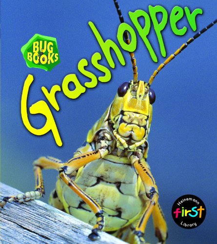 9780431018423: Grasshopper (Bug Books)