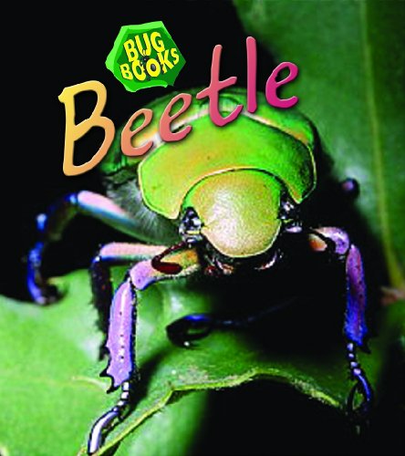 Stock image for Beetle (Bug Books) for sale by AwesomeBooks