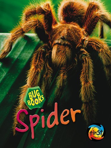 Beispielbild fr Spider zum Verkauf von Better World Books Ltd