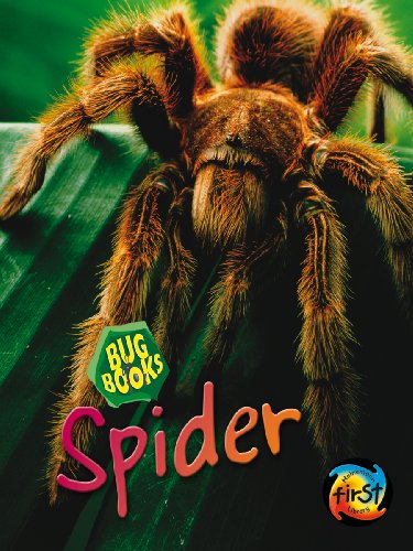 Stock image for Spider for sale by Better World Books Ltd