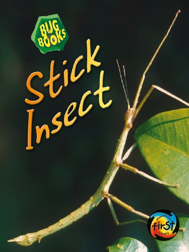 Stick Insect (First Library: Bug Books) (9780431019888) by Karen Hartley; Chris Macro; Philip Taylor