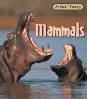 Stock image for Mammals (Animal Young) for sale by WorldofBooks