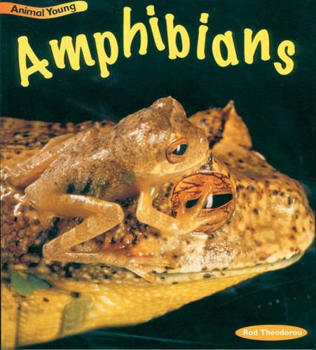 Amphibians (Animal Young) (Animal Young) (9780431030739) by Rod Theodorou