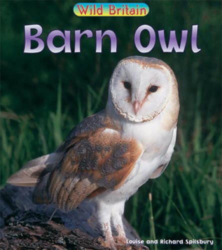 Wild Britain: Barn Owl (Wild Britain): Barn Owl (Wild Britain) (9780431039817) by Louise Spilsbury