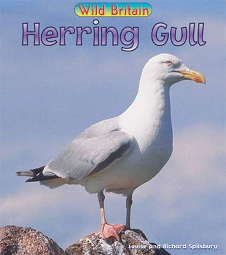 Wild Britain: Herring Gull : Herring Gull (Wild Britain): Herring Gull (Wild Britain) (9780431039824) by Louise Spilsbury; Robert Spilsbury