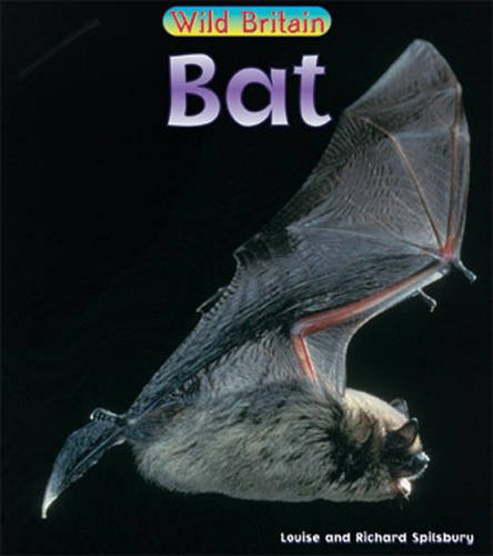 Wild Britain: Bat (Wild Britain): Bat (Wild Britain) (9780431039855) by Louise Spilsbury; Robert Spilsbury