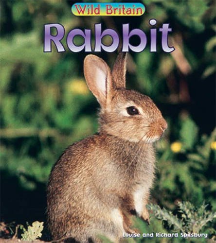 9780431039879: Wild Britain: Rabbit Paperback