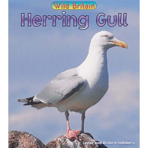 Herring Gull (9780431039893) by Louise Spilsbury