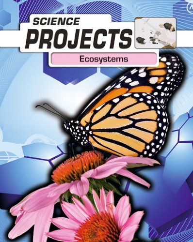 9780431040394: Ecosystems (Science Projects)
