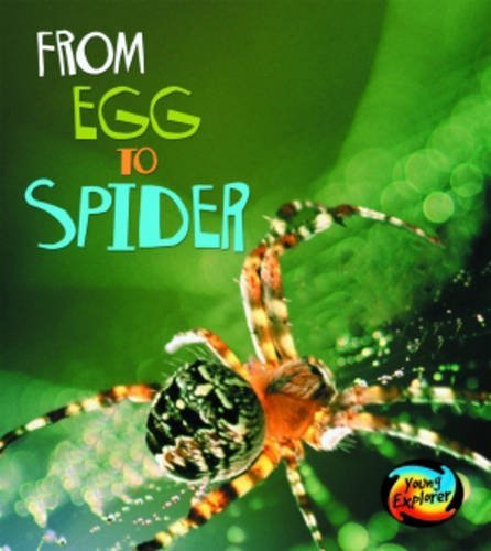 From Egg to Spider (Young Explorer: How Living Things Grow) (Young Explorer: How Living Things Grow) (9780431050782) by Anita Ganeri