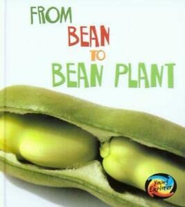 From Bean to Bean Plant (Young Explorer: How Living Things Grow) (Young Explorer: How Living Things Grow) (9780431050799) by Anita Ganeri