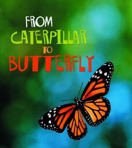Beispielbild fr From Caterpillar to Butterfly (Young Explorer: How Living Things Grow) zum Verkauf von WorldofBooks