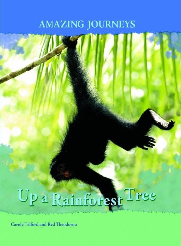 Up a Rainforest Tree (Amazing Journeys) (Amazing Journeys) (9780431056500) by Carole Telford; Rod Theodorou