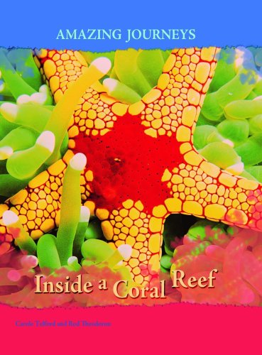 Beispielbild fr Inside a Coral Reef (Amazing Journeys) (Amazing Journeys) zum Verkauf von MusicMagpie