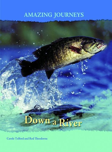 Beispielbild fr Down a River (Amazing Journeys) zum Verkauf von WorldofBooks