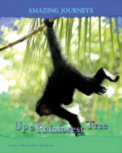 9780431057613: Up a Rainforest Tree (Amazing Journeys)